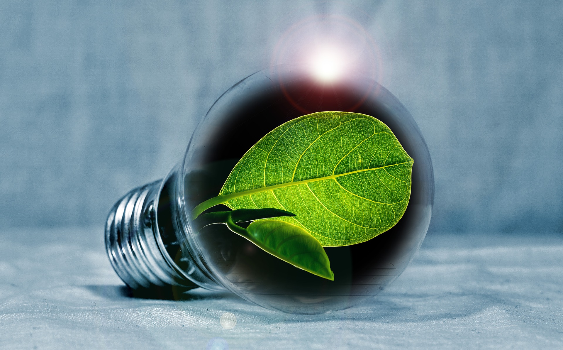 Read more about the article How to Effectively Reduce Energy Consumption at the Office